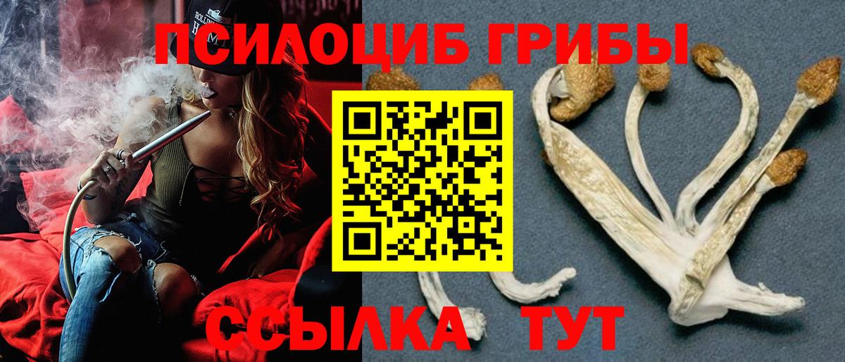 Галлюциногенные грибы Psilocybe  где продают   Гусь-Хрустальный  Вход с VPN 